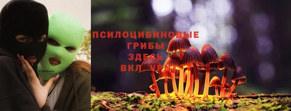 МДПВ Абинск
