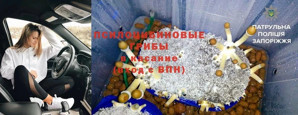 МДПВ Абинск